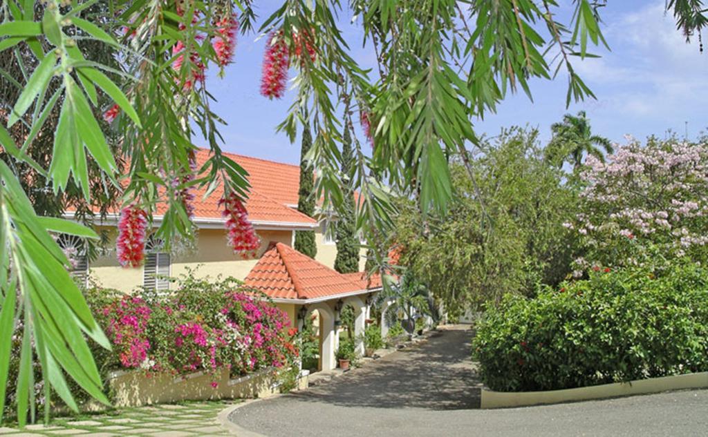Polkerris Bed & Breakfast Montego Bay Luaran gambar