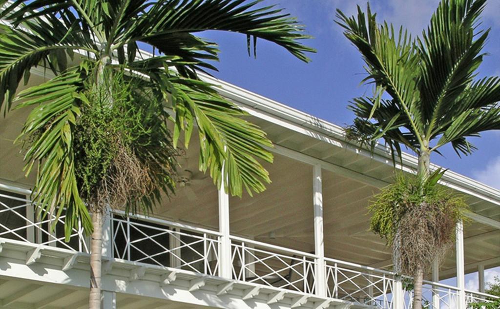 Polkerris Bed & Breakfast Montego Bay Luaran gambar