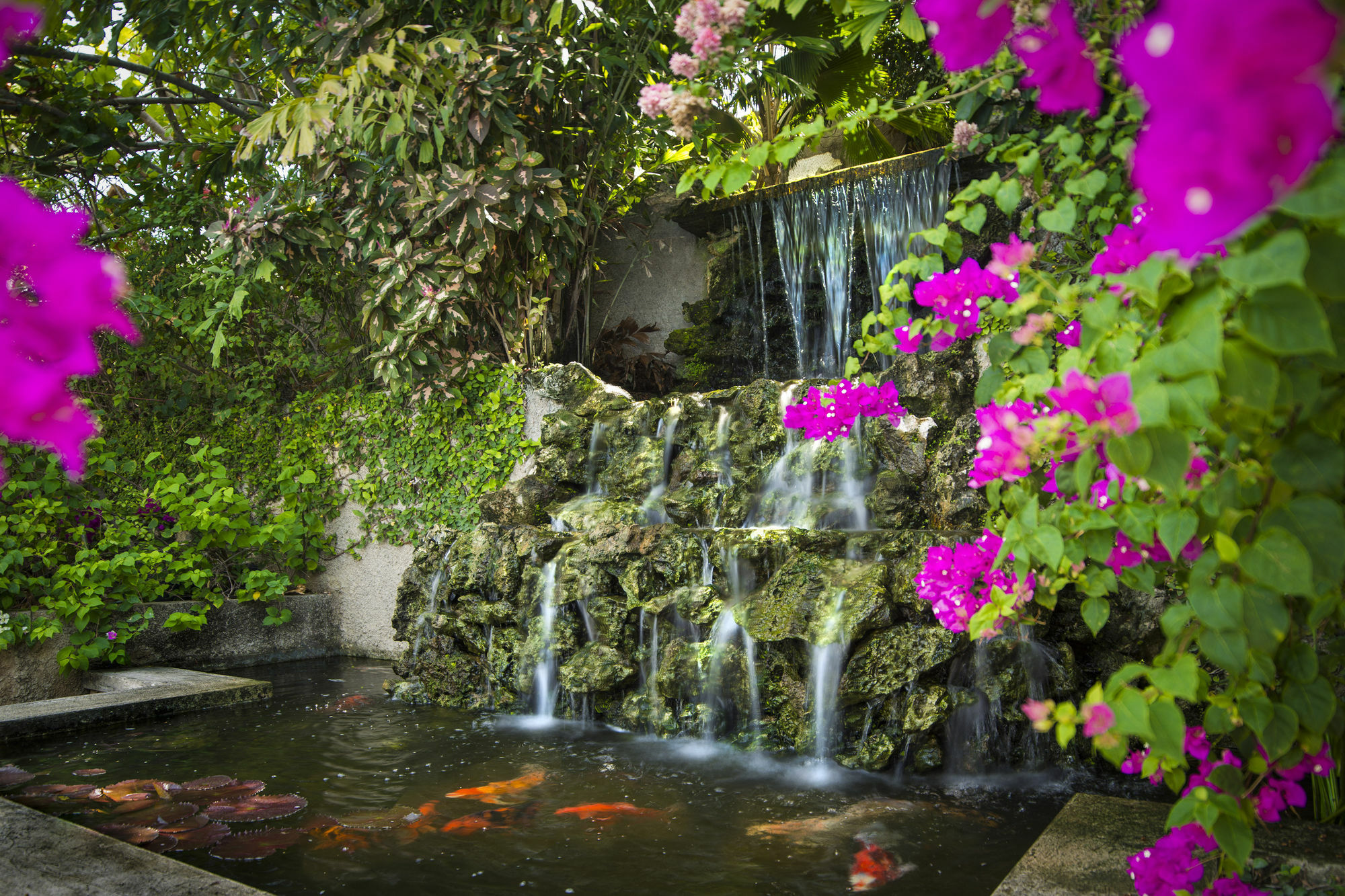 Polkerris Bed & Breakfast Montego Bay Luaran gambar